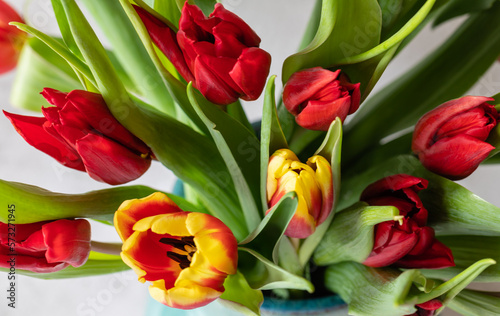 Bouquet of colorful tulips in bright red, orange and yellow colors directly above view, bright beautiful spring bouquet of tulips on gray