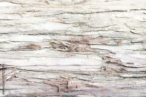 old wood texture