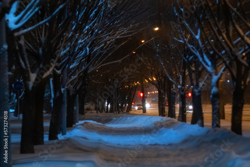 Winter night landscape of snow covered snow trees and shining lights during the snowfall. Beauty world. Selective focus