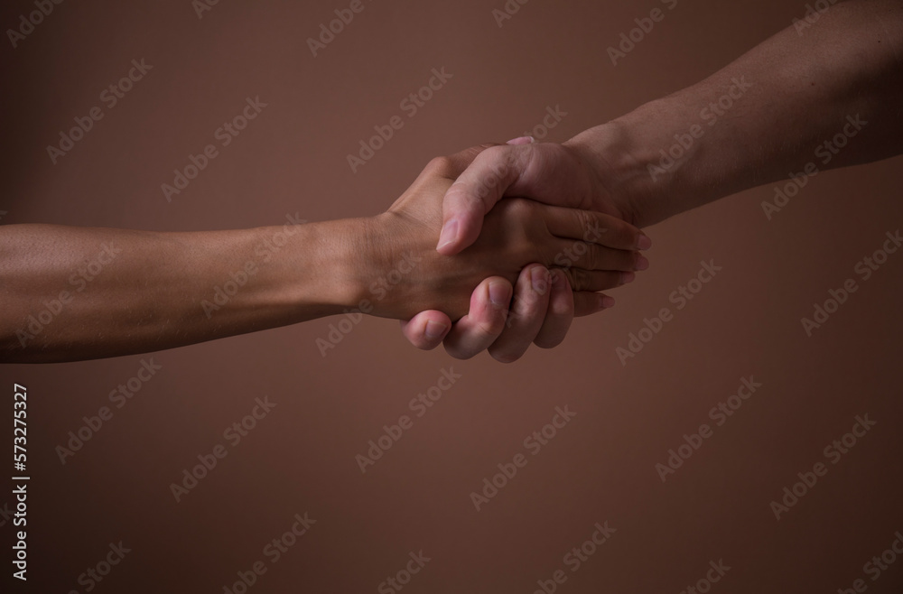 handshake between two professionals. Hands concept. Help. Hope. 