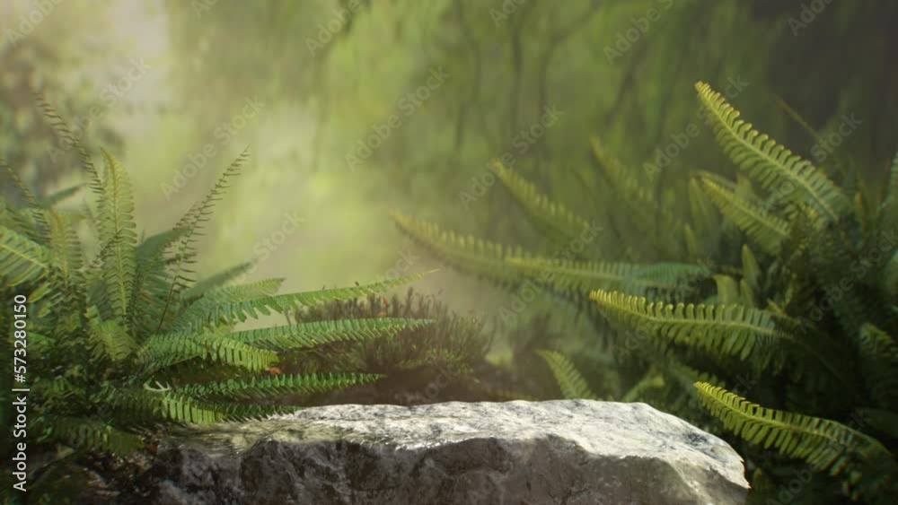 3D rendering podium stand with big rock in the jungle and tree animation.Natural 3D podium background conceptual for product.