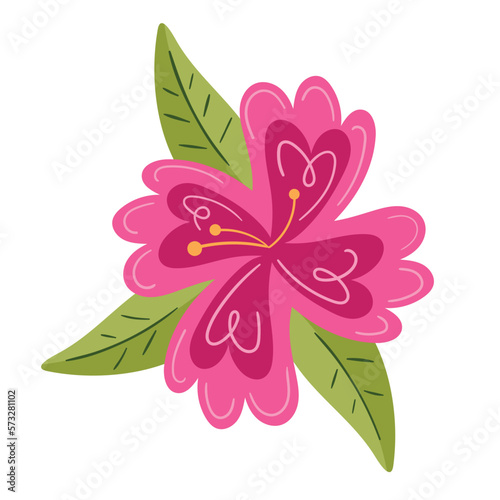 pink exotic flower