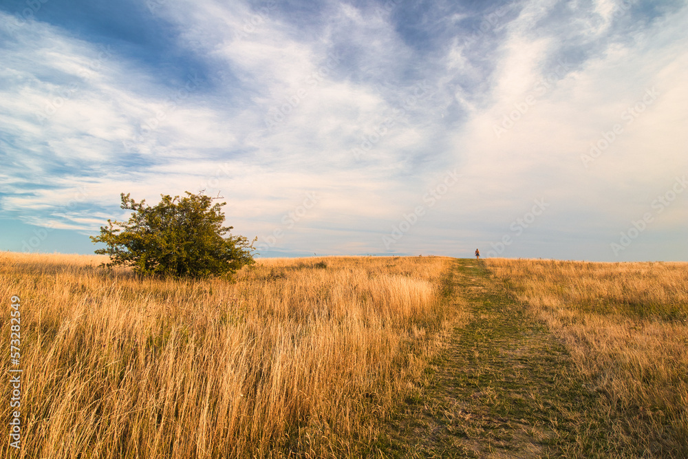 Dry grass and pathway on Table mountain in Palava, in hot summer day. Czech Republic.