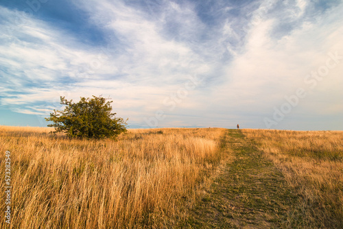 Dry grass and pathway on Table mountain in Palava  in hot summer day. Czech Republic.