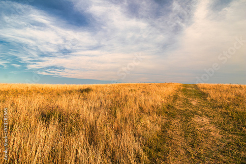 Dry grass and pathway on Table mountain in Palava  in hot summer day. Czech Republic.