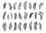 Branches collection hand drawn, vector.	
