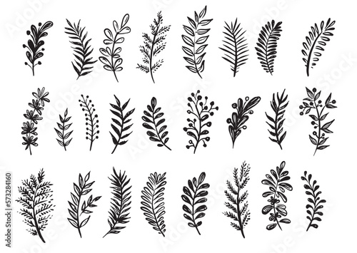 Branches collection hand drawn, vector. 