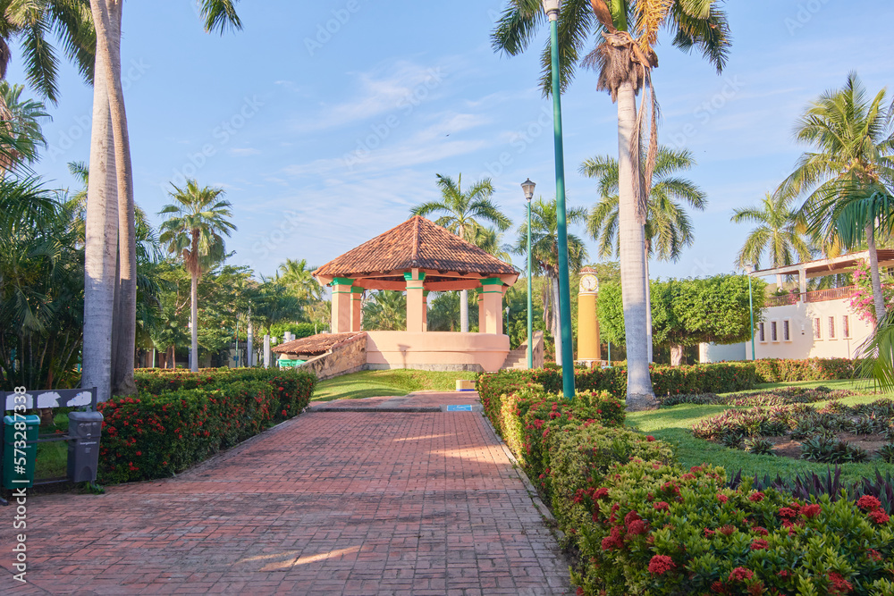 trees in the garden. Huatulco Park