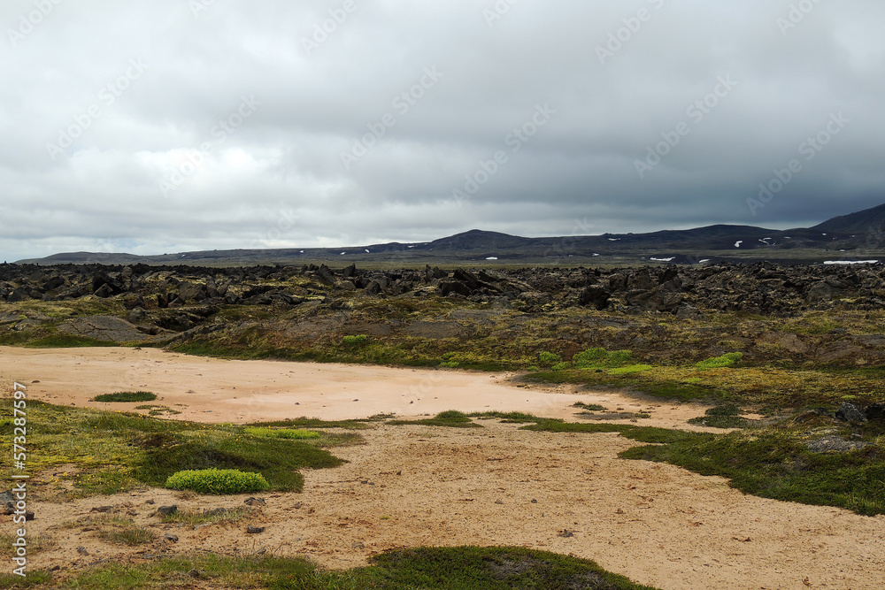 Iceland Thingvellir area Landscape