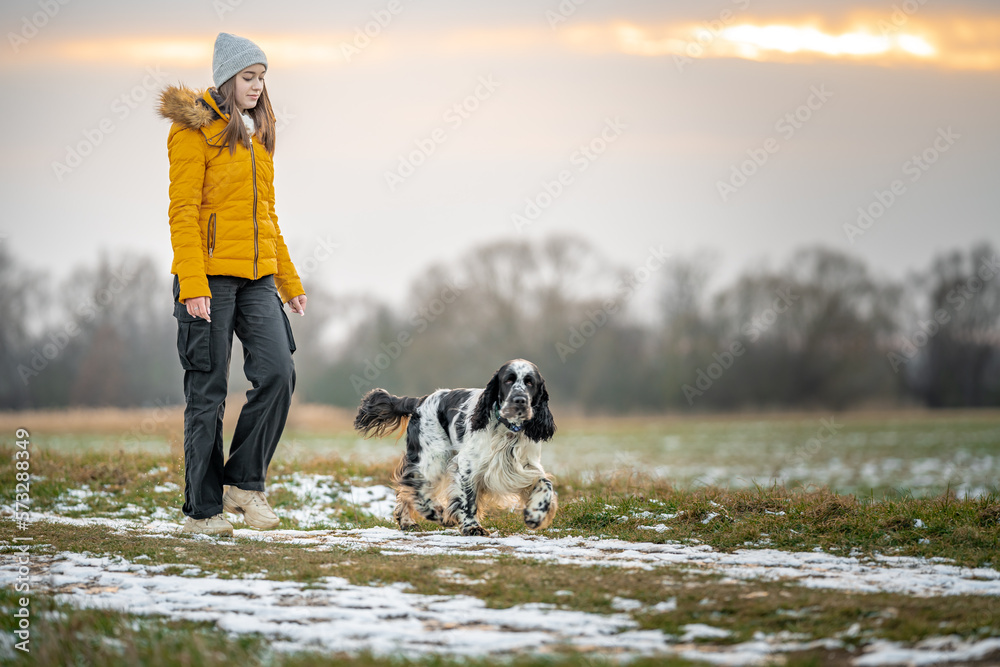 teenager with a dog on a walk in the park. english setter