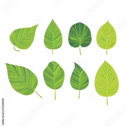 set of green leaves - green leaves on white background - Leafs - Generative AI © Magic
