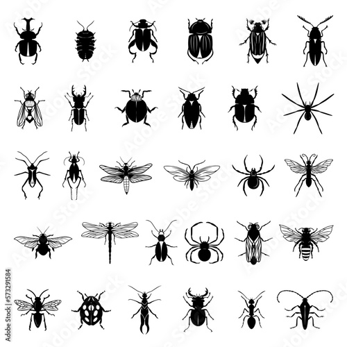Collection of black insects isolated on a white background. © RP