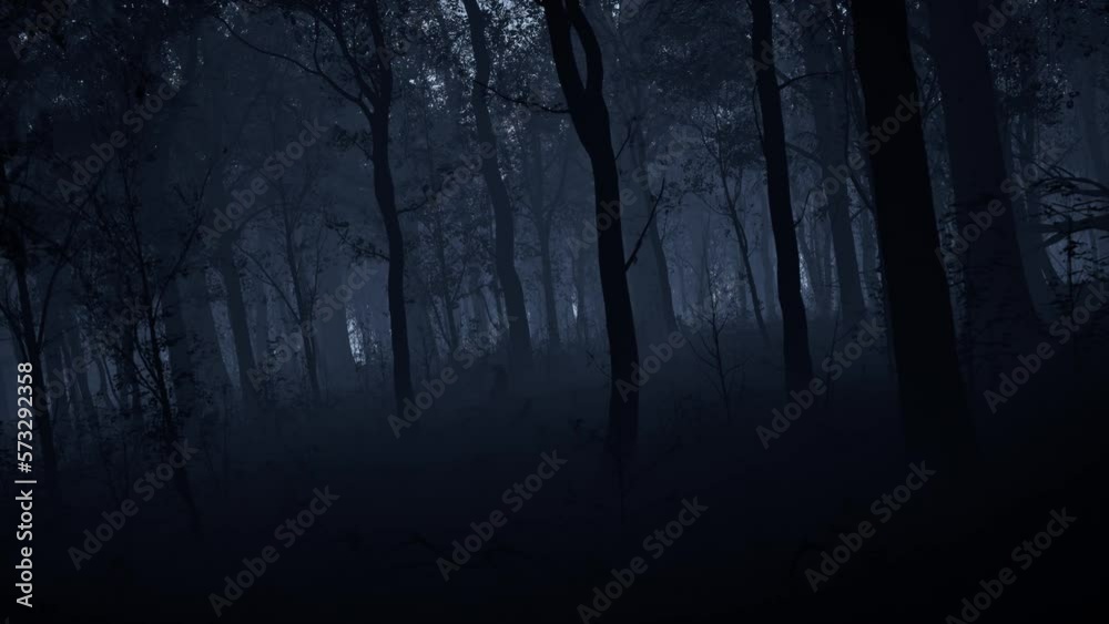 The dark forest at night, covered with a mystical fog