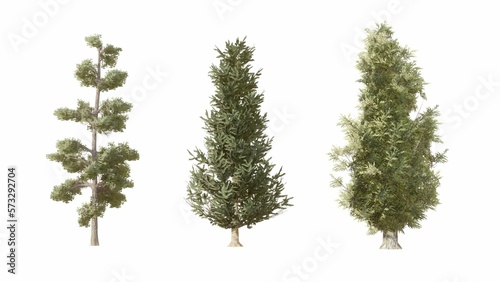 Set of 3D Pine tree isolated on white background , Use for visualization in graphic design