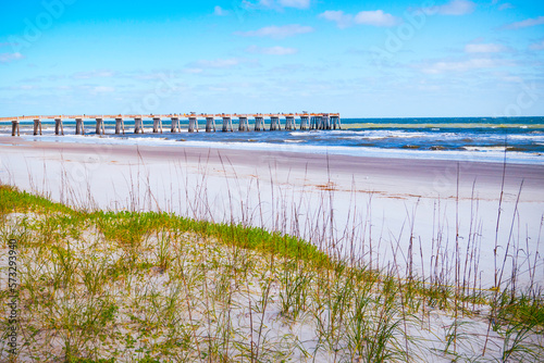 Seascape over the grassy sand dune and seagulls near JAX Fishing Pier in Jacksonville  North Florida