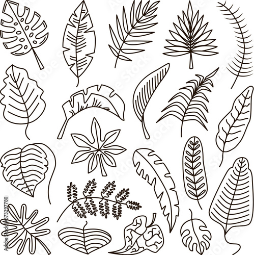 Doodle tropical outline leaves, leaf exotic line contour isolated set. Palm art foliage, jungle plants and monstera. Neoteric vector drawing nature