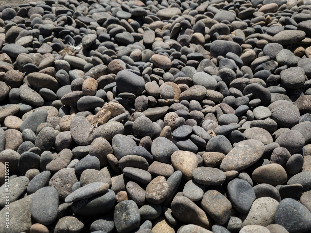 pile of smooth round shaped sea stones pile of smooth round shaped sea stones