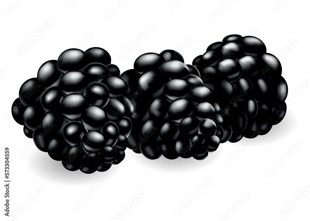 Fresh, sweet and tasty blackberry. Sweet fruit. Forest berry. 3d icon. Realistic illustration of eco food isolated on white Fresh, sweet and tasty blackberry. Sweet fruit. Forest berry. 3d icon. Realistic illustration of eco food isolated on white