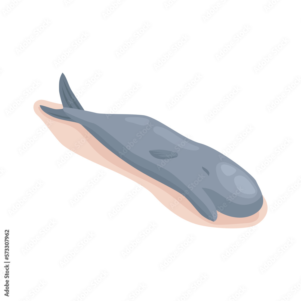 Dead Whale Pollution Composition Dead Whale Pollution Composition