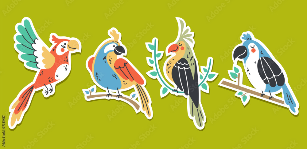 Bird parrot tropical animal summer style stickers concept set. Graphic design vector illustration
 - obrazy, fototapety, plakaty 