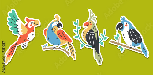 Bird parrot tropical animal summer style stickers concept set. Graphic design vector illustration
