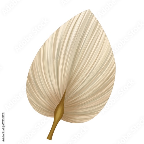 bohemian bouquet of dry tropical, blooming flowers and branches with leaves palm of brown, pink, cream, beige flowers isolated on white background