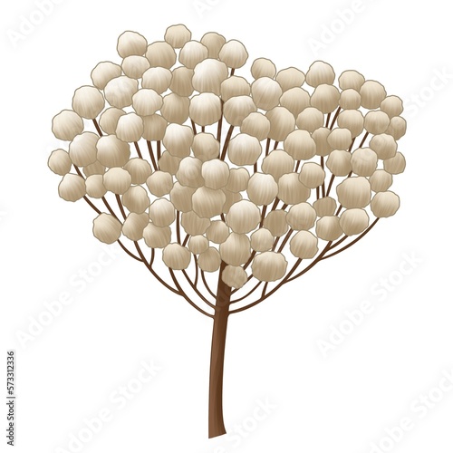 bohemian bouquet of dry tropical, blooming flowers rice flower and branches with leaves of brown, pink, cream, beige flowers isolated on white background