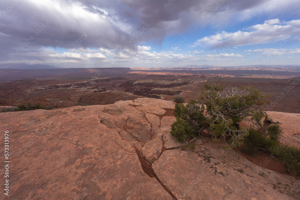 hiking the grand view point trail in the island in the sky in canyonlands national park, usa