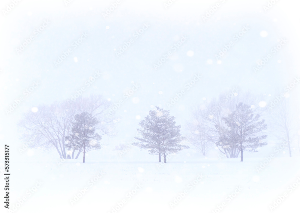 Prairie Winter Scenes Prairie Winter Scenes