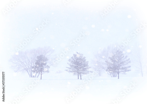 Prairie Winter Scenes © pictureguy32