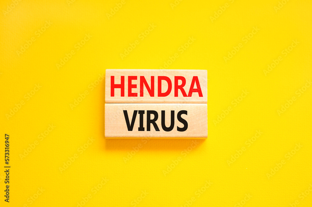 Hendra virus symbol. Concept words Hendra virus on wooden block. Beautiful yellow table yellow background. Medical hendra virus concept. Copy space. Hendra virus symbol. Concept words Hendra virus on wooden block. Beautiful yellow table yellow background. Medical hendra virus concept. Copy space.