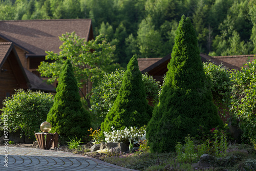 A unique modern garden of conifers and blooming rhododendrons is an example of landscaping. Picea glauca Conica in a modern garden. Modern landscape design.