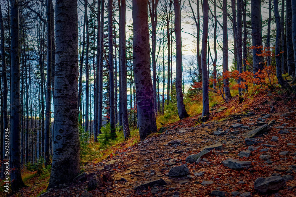 Fototapeta premium high in the mountains on a cold day