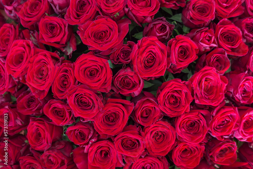 Red Rose Bouquet. bouquet from red roses for use as background. Closeup. 