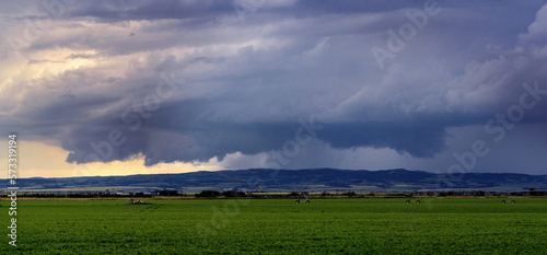 Prairie Storm Clouds