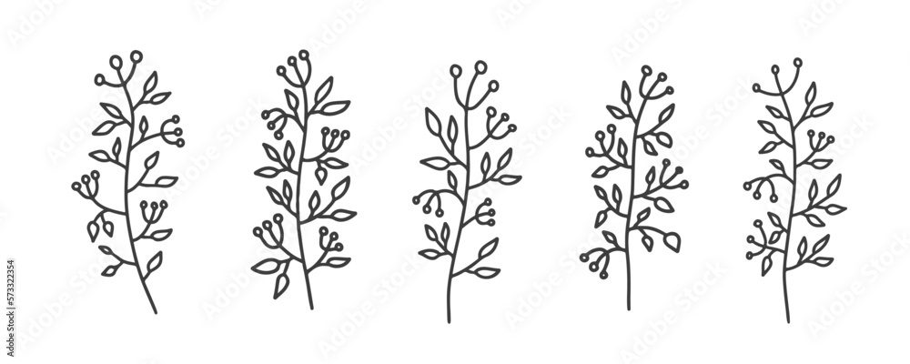 Vector floral illustration with branches and leaves. Vector set of leaves isolated on white background. Hand drawn herbs with berries and branches