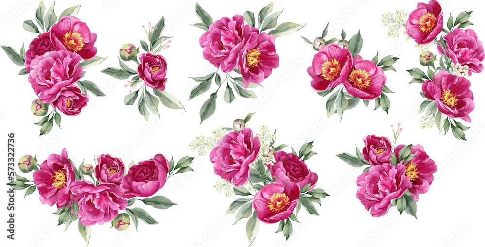 Watercolor pink magenta peony flowers bouquet. Floral arrangement for card, invitation, decoration. Illustration isolated on transparent background