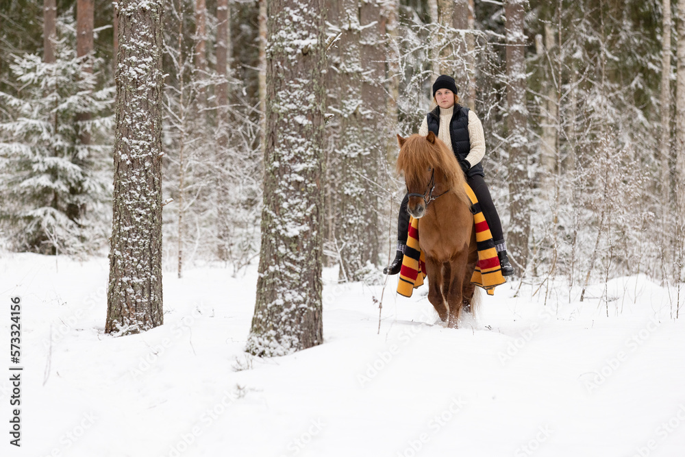 Icelandic horse and female rider in snowy Finnish forest