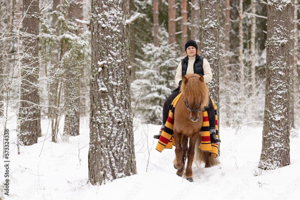 Icelandic horse and female rider in snowy Finnish forest