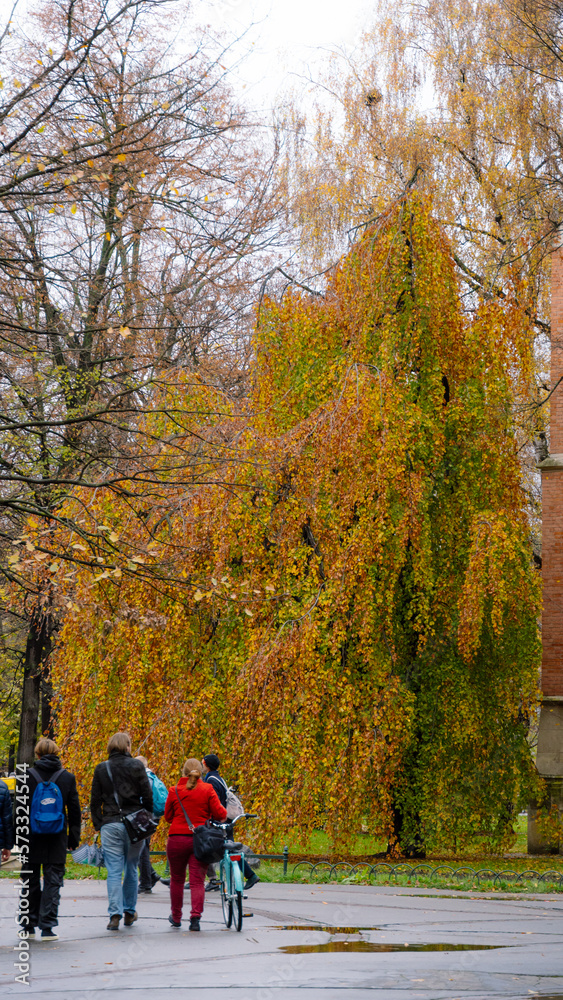 autumn in the park in krakow