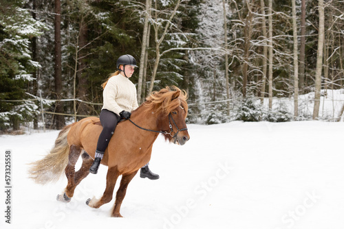 Icelandic horse and female rider riding on snowy field. Rider has black helmet. © AnttiJussi