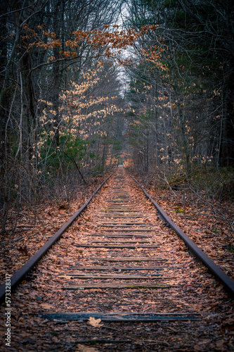 Old, abandoned railroad tracks in the forest