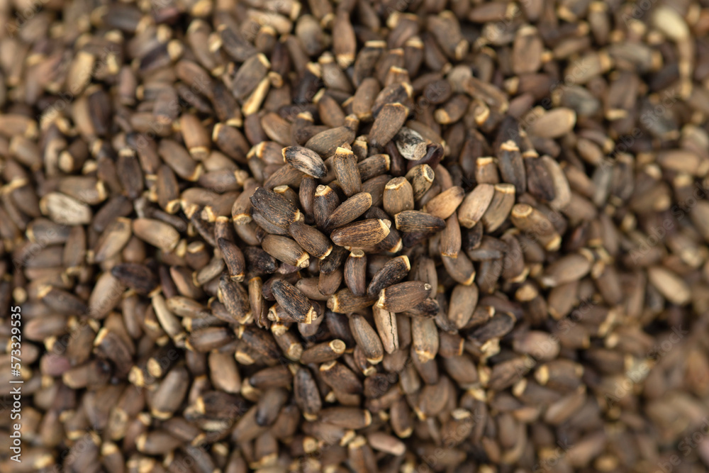 A bunch of seeds of milk thistle seeds. Selective focus. A bunch of seeds of milk thistle seeds. Selective focus.