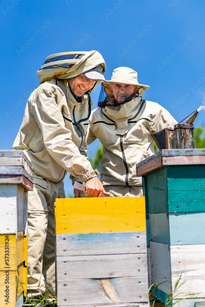 Beekeeper working with honeycombs. Concept of beekeeping farmers.