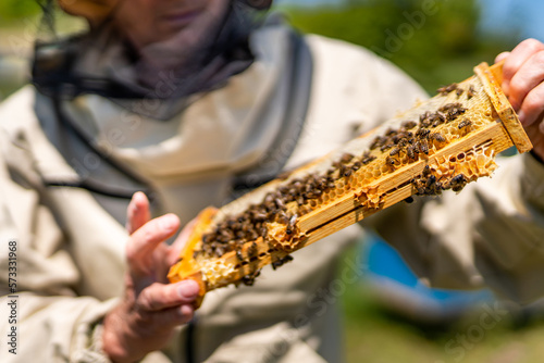Summer farming worker harvesting honey. Honeybee wooden frame holding in hands.