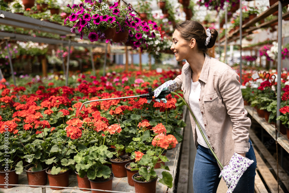 Florist Woman Watering Flowers In A Greenhouse