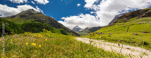 Panorama sul sentiero verso il Rifugio Benevolo, con vista sulla Granta Parey tra fiori, montagne, prati e alpeggi. Alpi Italiane. Rhemes Notre Dame, Valle d'Aosta. Italia