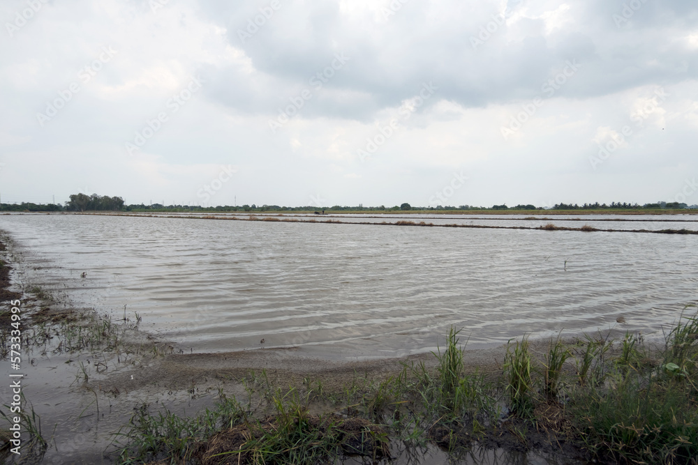 lake in the country