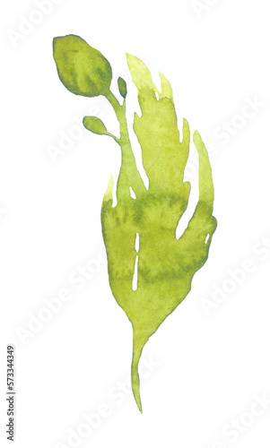 A flower bud with leaves.Watercolour.For fabrics, for printing brochures, posters, parties, vintage textile design, postcards, packaging.