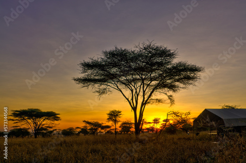 Savannah landscape in Serengeti National Park